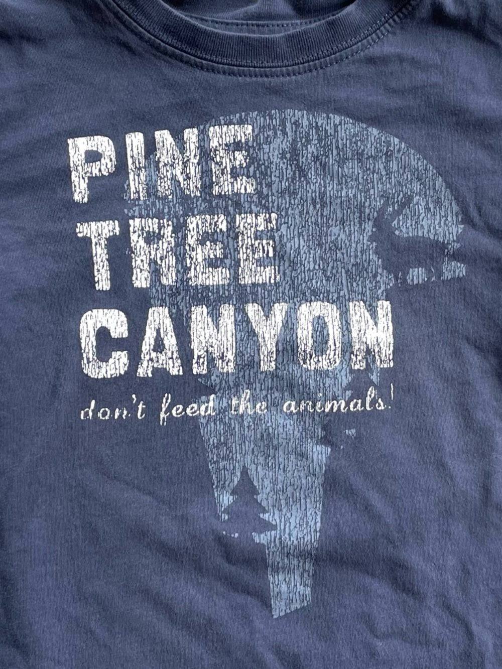 5/$21💥Outdoors Camping Pine Tree Canyon Long Sleeve Tee, Slate Blue & White